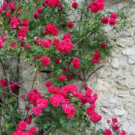 Bed & Breakfast Chambres D'hotes L'anrize *